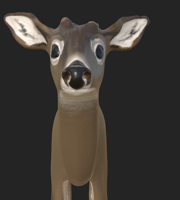 White Tail Deer close-up front